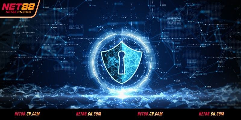 Quyền và vụ của hội viên tại nền tảng NET88